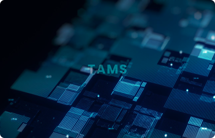 TAMS 스크린샷
